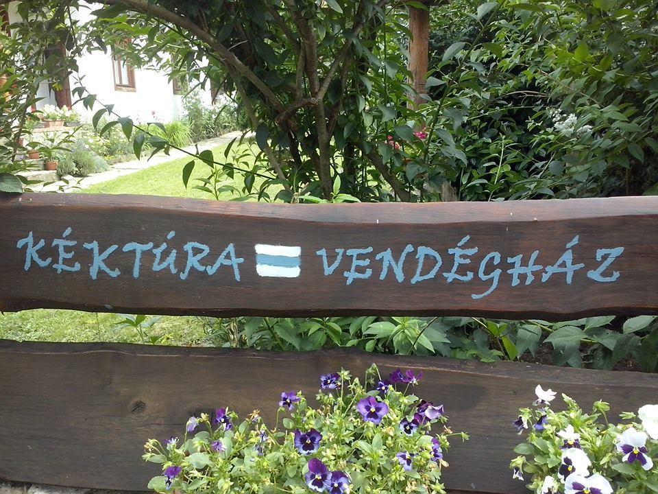Kektura Vendeghaz Apartment Obanya